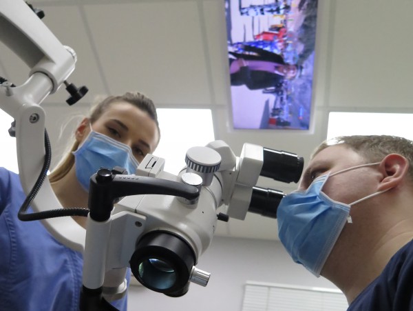 Эндодонтия под микроскопом